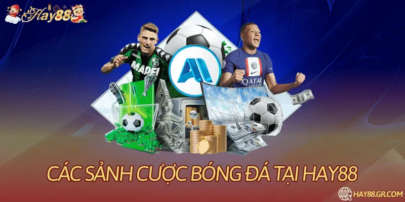 Các Sảnh Cược Bóng Đá HAY88: Đặc Điểm Và Kèo