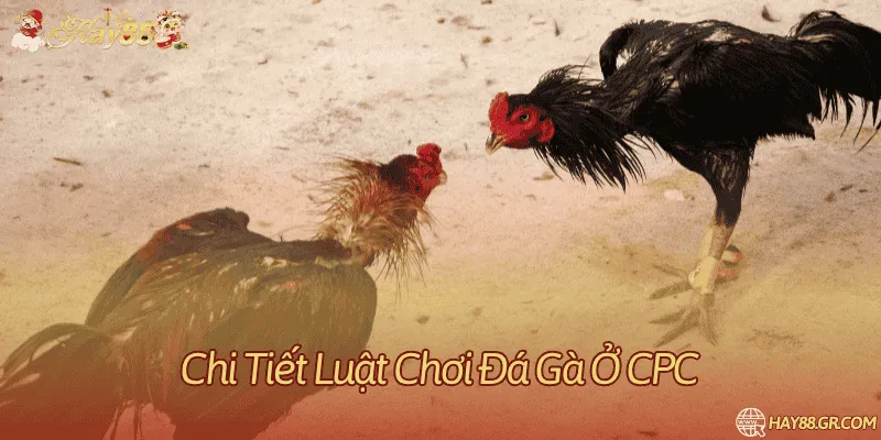Thời gian và cách xử lý trận gián đoạn