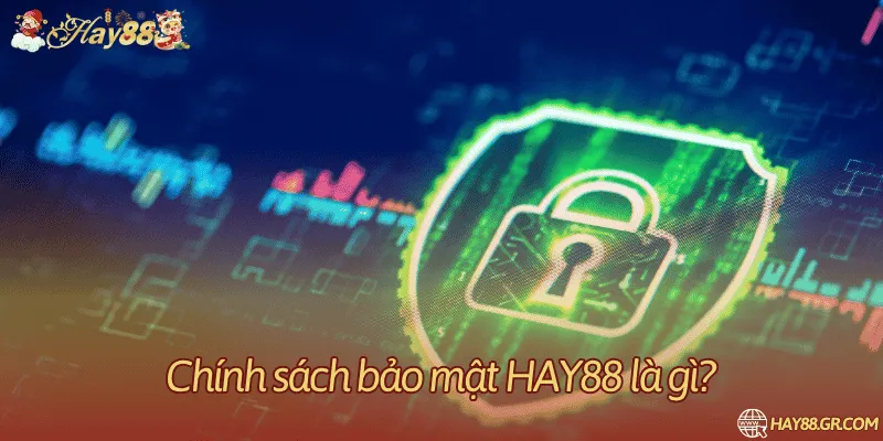 Phạm vi chính sách dữ liệu