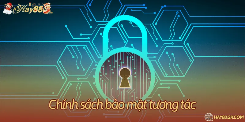 Thông tin tương tác và quyền dữ liệu