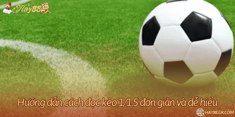 Phân biệt handicap và tổng 1.25