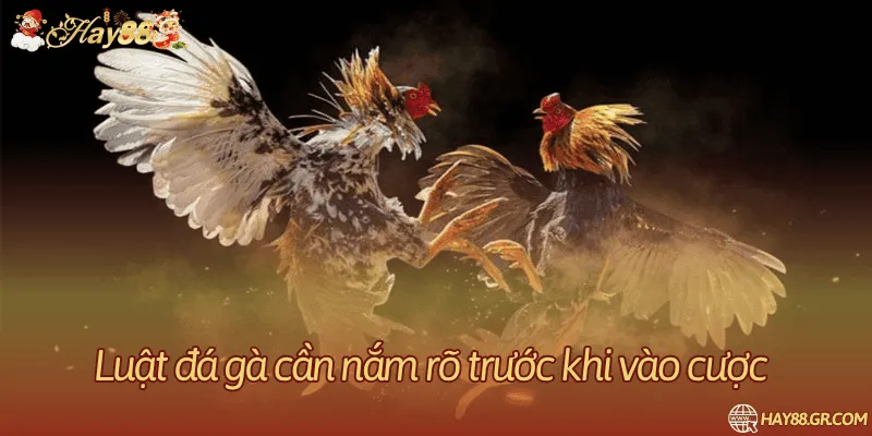 Quy tắc xét kết quả trận