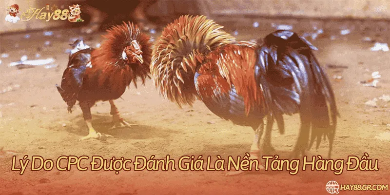 Đặc điểm phát trực tiếp và phạm vi trận