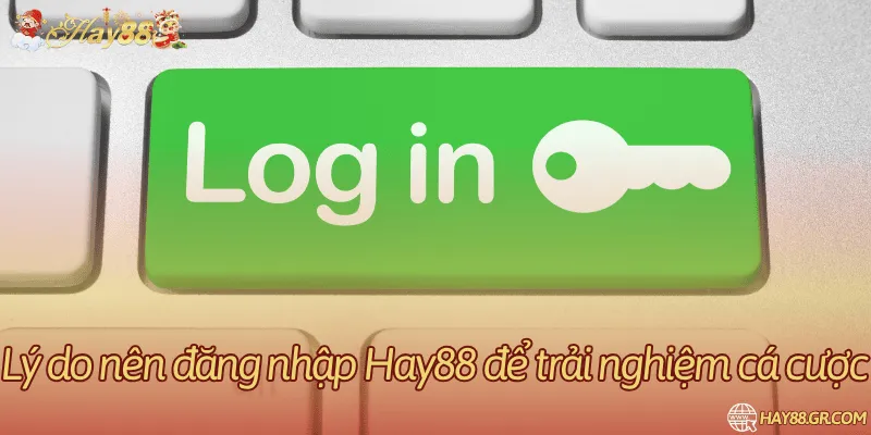 Các bước mở phiên và theo dõi phản hồi