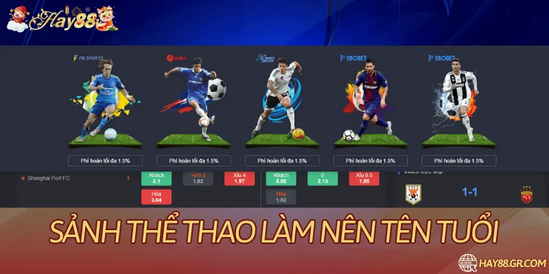 Phạm vi thị trường thể thao