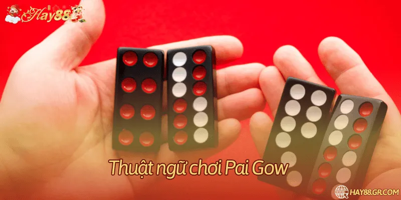 Thuật ngữ và quy tắc so tay