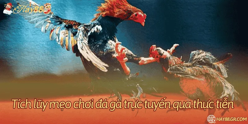 Đối chiếu diễn biến và nguồn kết quả
