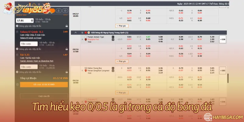 Cơ chế chia hai mức kèo 0/0.5